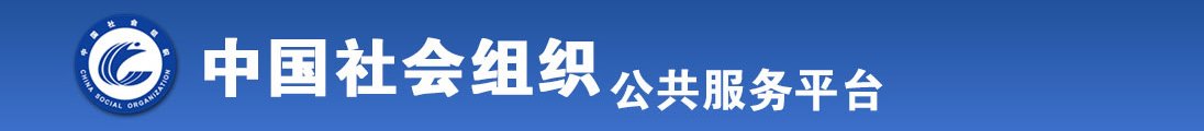 www深夜成人在线观看全国社会组织信息查询